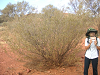 s_A_PICT0330_thumb.png